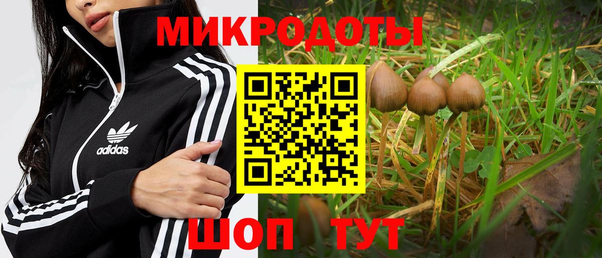 Новоалександровск  Галлюциногенные грибы MAGIC MUSHROOMS  Вход с VPN  даркнет сайт  Псилоцибиновые грибы мухоморы 