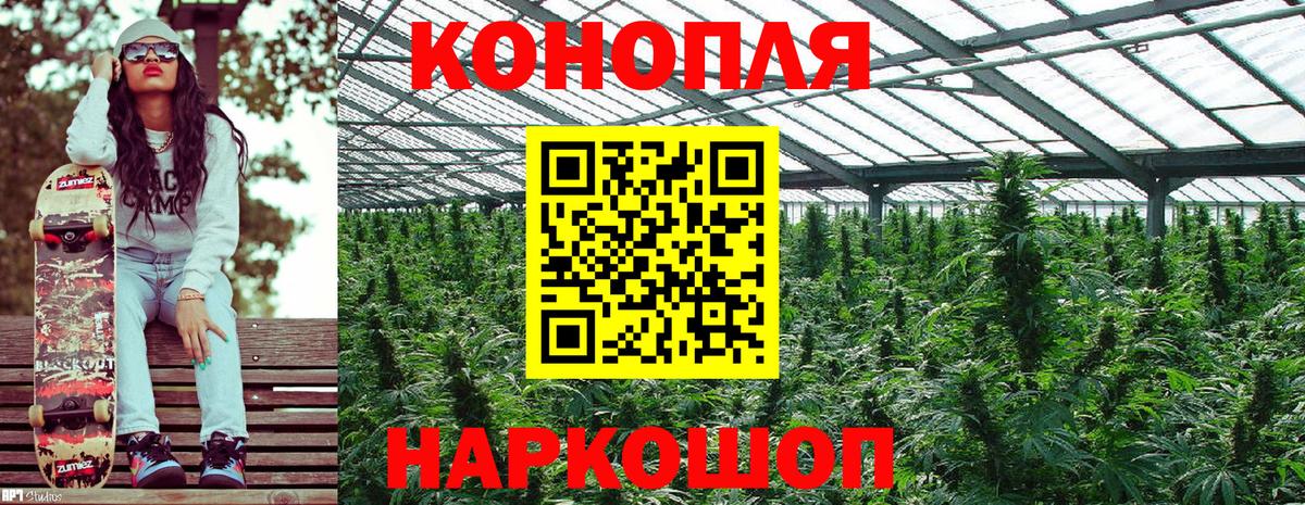Конопля VHQ  Конопля SATIVA & INDICA  Новоалександровск  Вход с VPN  Бошки Шишки ГИДРОПОН  МАРИХУАНА марихуана 